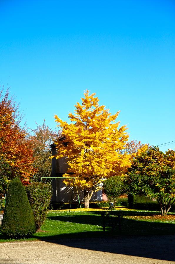 Chateau De Montabert Montaulin Luaran gambar